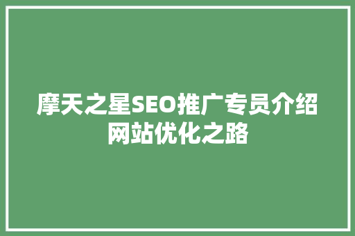 摩天之星SEO推广专员介绍网站优化之路