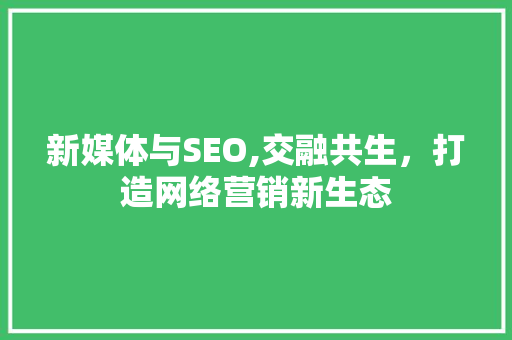 新媒体与SEO,交融共生，打造网络营销新生态 服务器/数据库