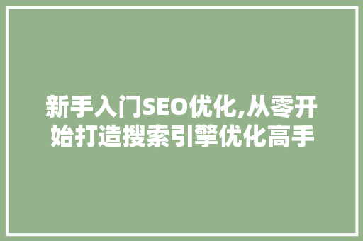 新手入门SEO优化,从零开始打造搜索引擎优化高手 Web前端