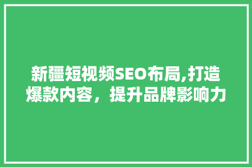 新疆短视频SEO布局,打造爆款内容，提升品牌影响力 建站教程