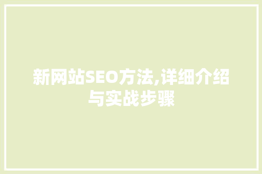 新网站SEO方法,详细介绍与实战步骤 建站教程