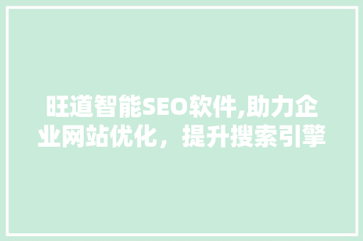 旺道智能SEO软件,助力企业网站优化，提升搜索引擎排名 Web前端