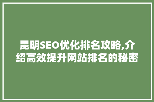 昆明SEO优化排名攻略,介绍高效提升网站排名的秘密武器