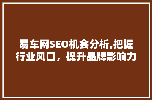 易车网SEO机会分析,把握行业风口，提升品牌影响力