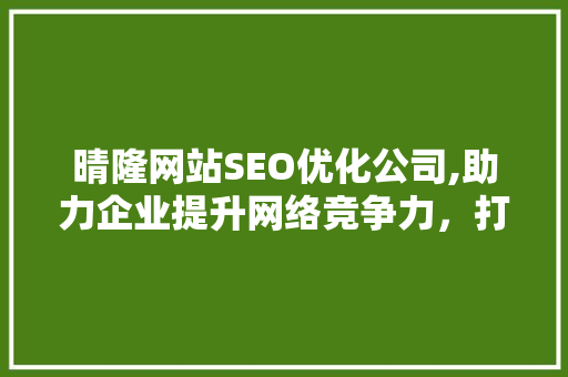 晴隆网站SEO优化公司,助力企业提升网络竞争力，打造品牌新高度 建站教程