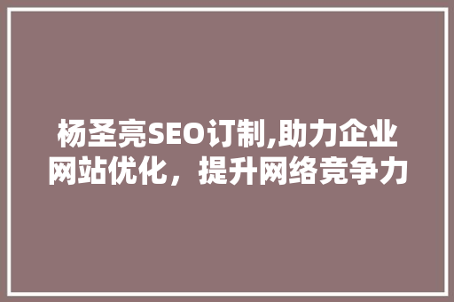杨圣亮SEO订制,助力企业网站优化，提升网络竞争力