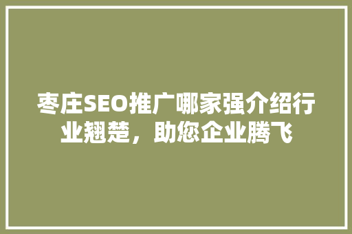 枣庄SEO推广哪家强介绍行业翘楚，助您企业腾飞