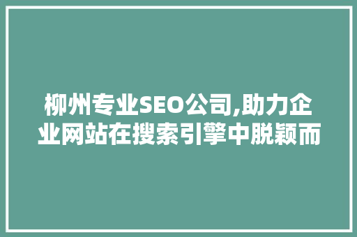 柳州专业SEO公司,助力企业网站在搜索引擎中脱颖而出