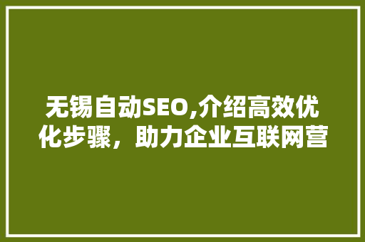 无锡自动SEO,介绍高效优化步骤，助力企业互联网营销腾飞