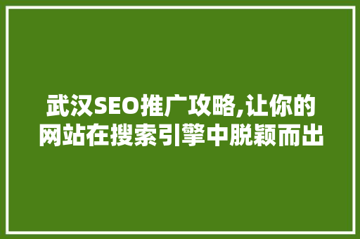 武汉SEO推广攻略,让你的网站在搜索引擎中脱颖而出