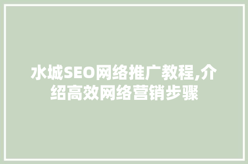 水城SEO网络推广教程,介绍高效网络营销步骤