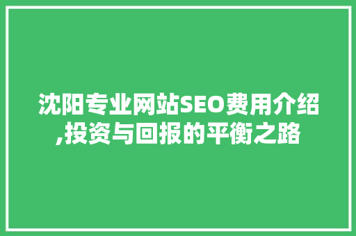 沈阳专业网站SEO费用介绍,投资与回报的平衡之路