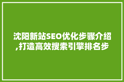 沈阳新站SEO优化步骤介绍,打造高效搜索引擎排名步骤