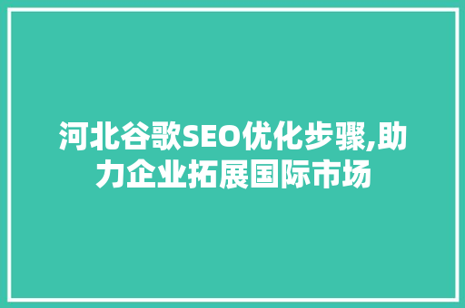 河北谷歌SEO优化步骤,助力企业拓展国际市场 服务器/数据库