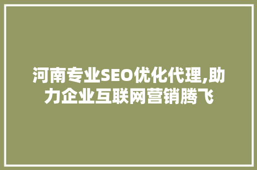 河南专业SEO优化代理,助力企业互联网营销腾飞
