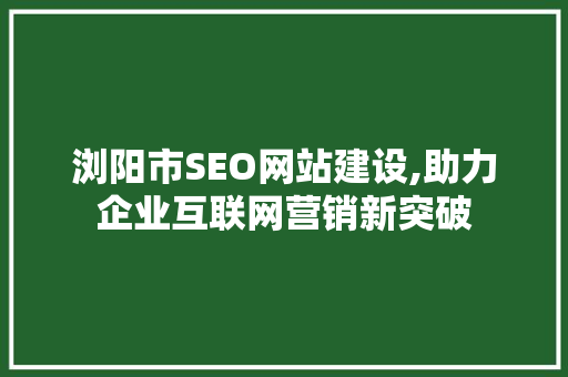 浏阳市SEO网站建设,助力企业互联网营销新突破