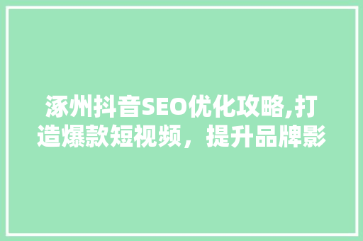涿州抖音SEO优化攻略,打造爆款短视频，提升品牌影响力 SEO教程
