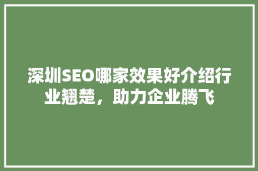 深圳SEO哪家效果好介绍行业翘楚，助力企业腾飞 Web前端