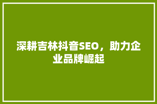 深耕吉林抖音SEO，助力企业品牌崛起