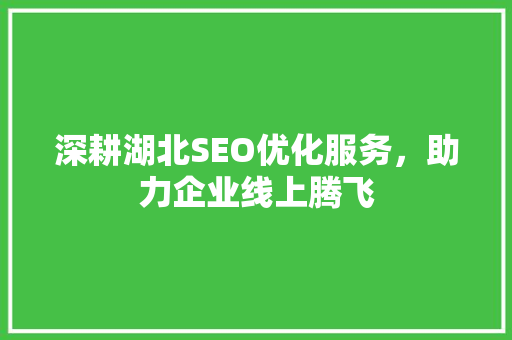 深耕湖北SEO优化服务，助力企业线上腾飞