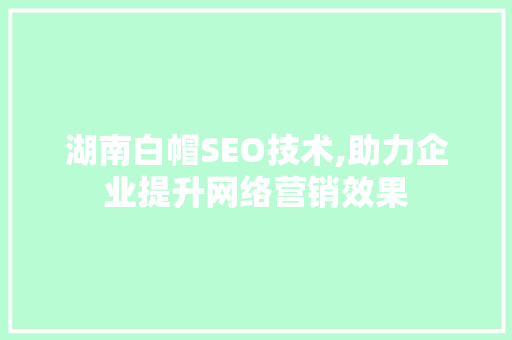 湖南白帽SEO技术,助力企业提升网络营销效果