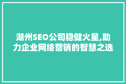 湖州SEO公司稳健火星,助力企业网络营销的智慧之选