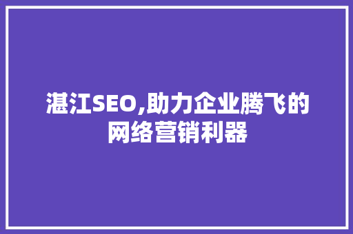 湛江SEO,助力企业腾飞的网络营销利器