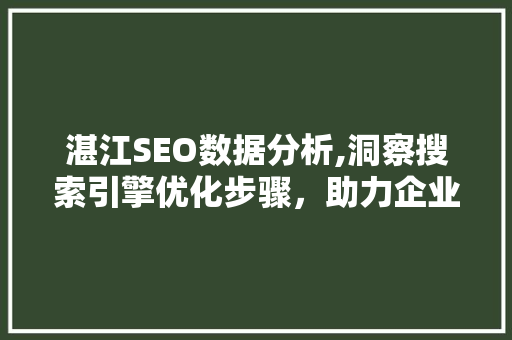 湛江SEO数据分析,洞察搜索引擎优化步骤，助力企业腾飞
