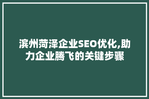 滨州菏泽企业SEO优化,助力企业腾飞的关键步骤