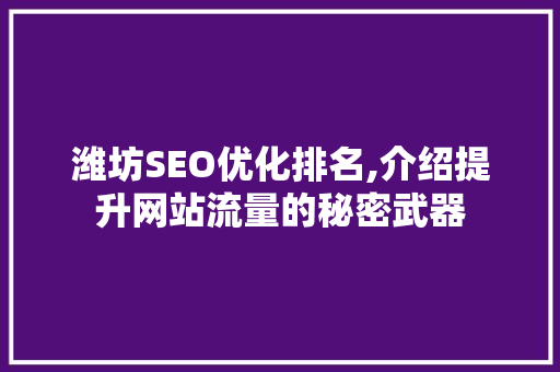 潍坊SEO优化排名,介绍提升网站流量的秘密武器