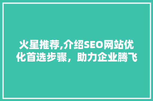 火星推荐,介绍SEO网站优化首选步骤，助力企业腾飞