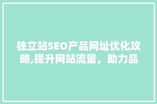 独立站SEO产品网址优化攻略,提升网站流量，助力品牌腾飞