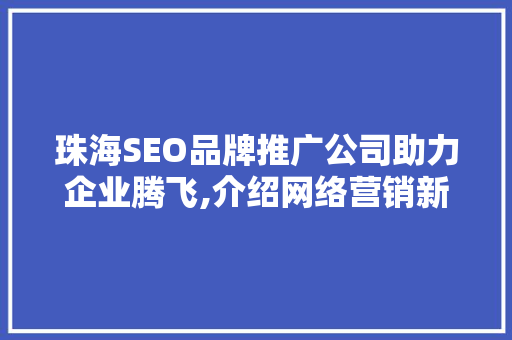 珠海SEO品牌推广公司助力企业腾飞,介绍网络营销新步骤 Web前端