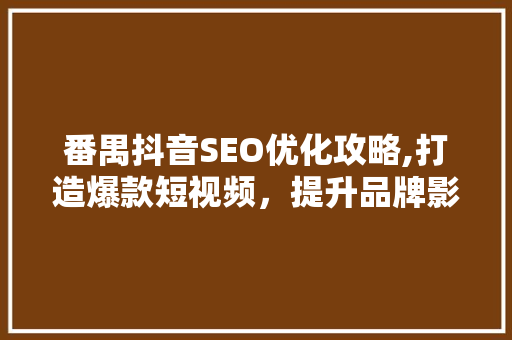 番禺抖音SEO优化攻略,打造爆款短视频，提升品牌影响力