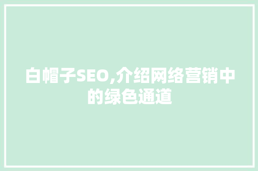 白帽子SEO,介绍网络营销中的绿色通道
