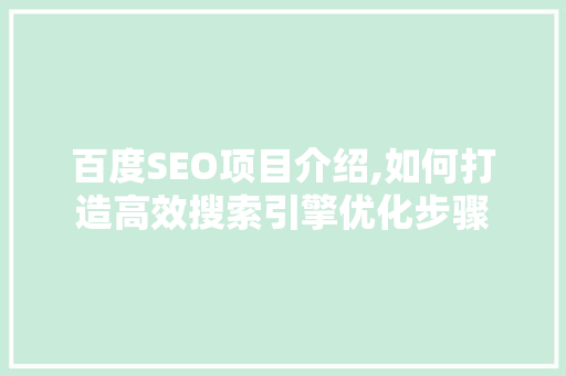 百度SEO项目介绍,如何打造高效搜索引擎优化步骤