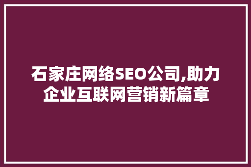 石家庄网络SEO公司,助力企业互联网营销新篇章
