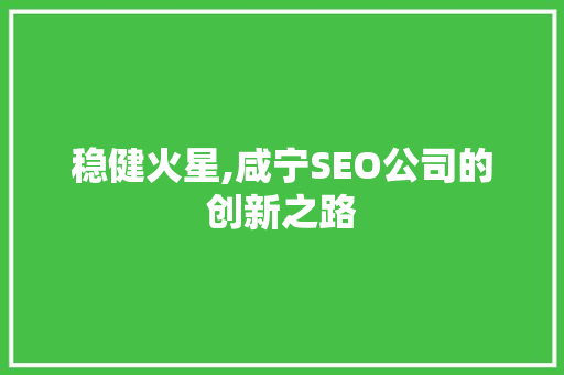 稳健火星,咸宁SEO公司的创新之路
