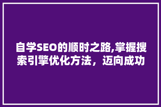 自学SEO的顺时之路,掌握搜索引擎优化方法，迈向成功之旅