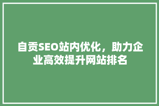 自贡SEO站内优化，助力企业高效提升网站排名