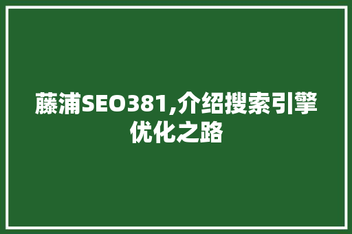 藤浦SEO381,介绍搜索引擎优化之路