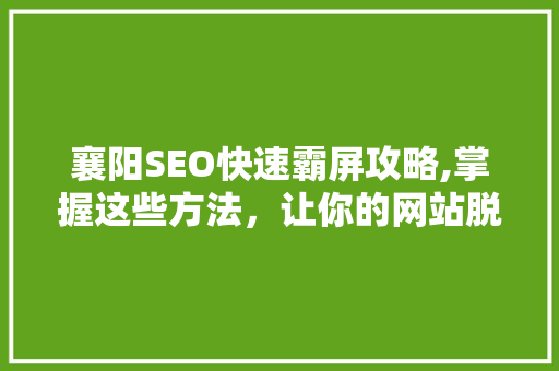 襄阳SEO快速霸屏攻略,掌握这些方法，让你的网站脱颖而出