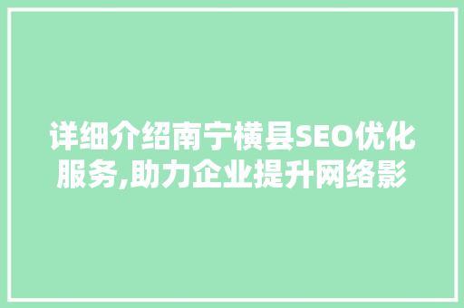 详细介绍南宁横县SEO优化服务,助力企业提升网络影响力
