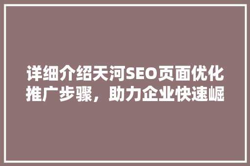 详细介绍天河SEO页面优化推广步骤，助力企业快速崛起
