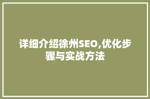 详细介绍徐州SEO,优化步骤与实战方法