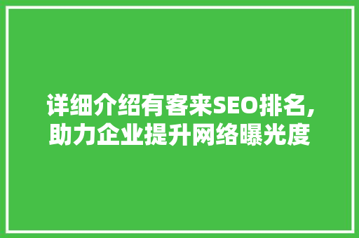 详细介绍有客来SEO排名,助力企业提升网络曝光度