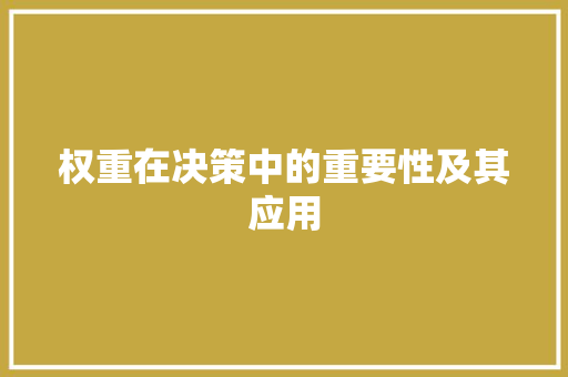权重在决策中的重要性及其应用