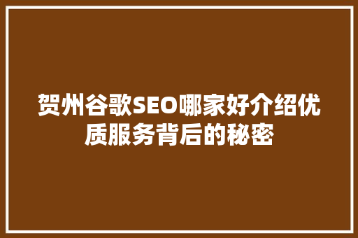 贺州谷歌SEO哪家好介绍优质服务背后的秘密
