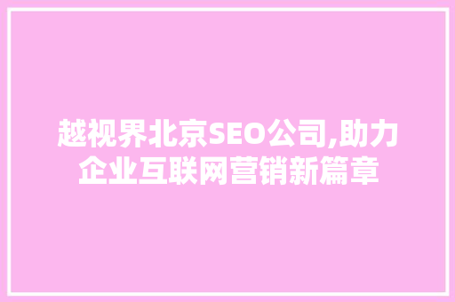 越视界北京SEO公司,助力企业互联网营销新篇章
