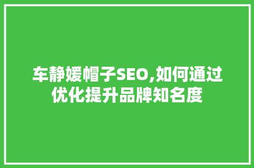 车静媛帽子SEO,如何通过优化提升品牌知名度